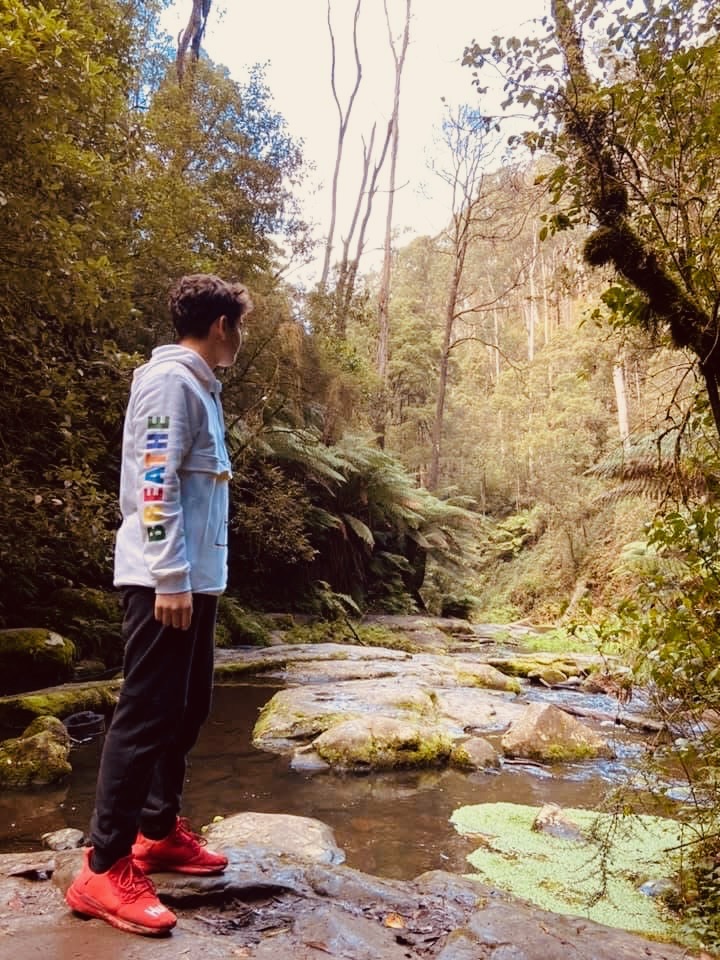 Young person standing beside a rainforest creek